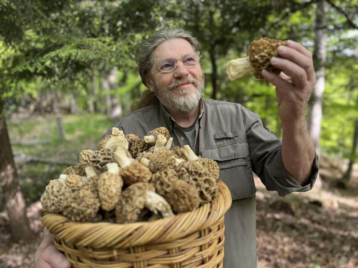 492062138 1341126147484922 6044609770455452620 n