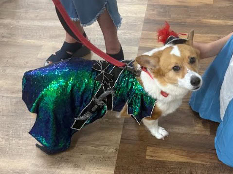 576934400 122172460028576943 5405586690685895407 n