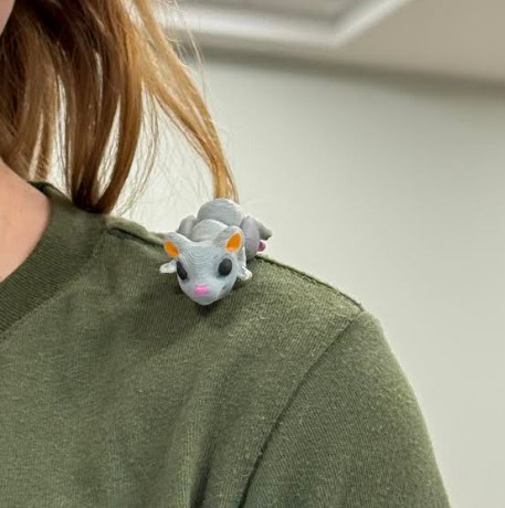 589197547 122175368678576943 2777520362062242291 n