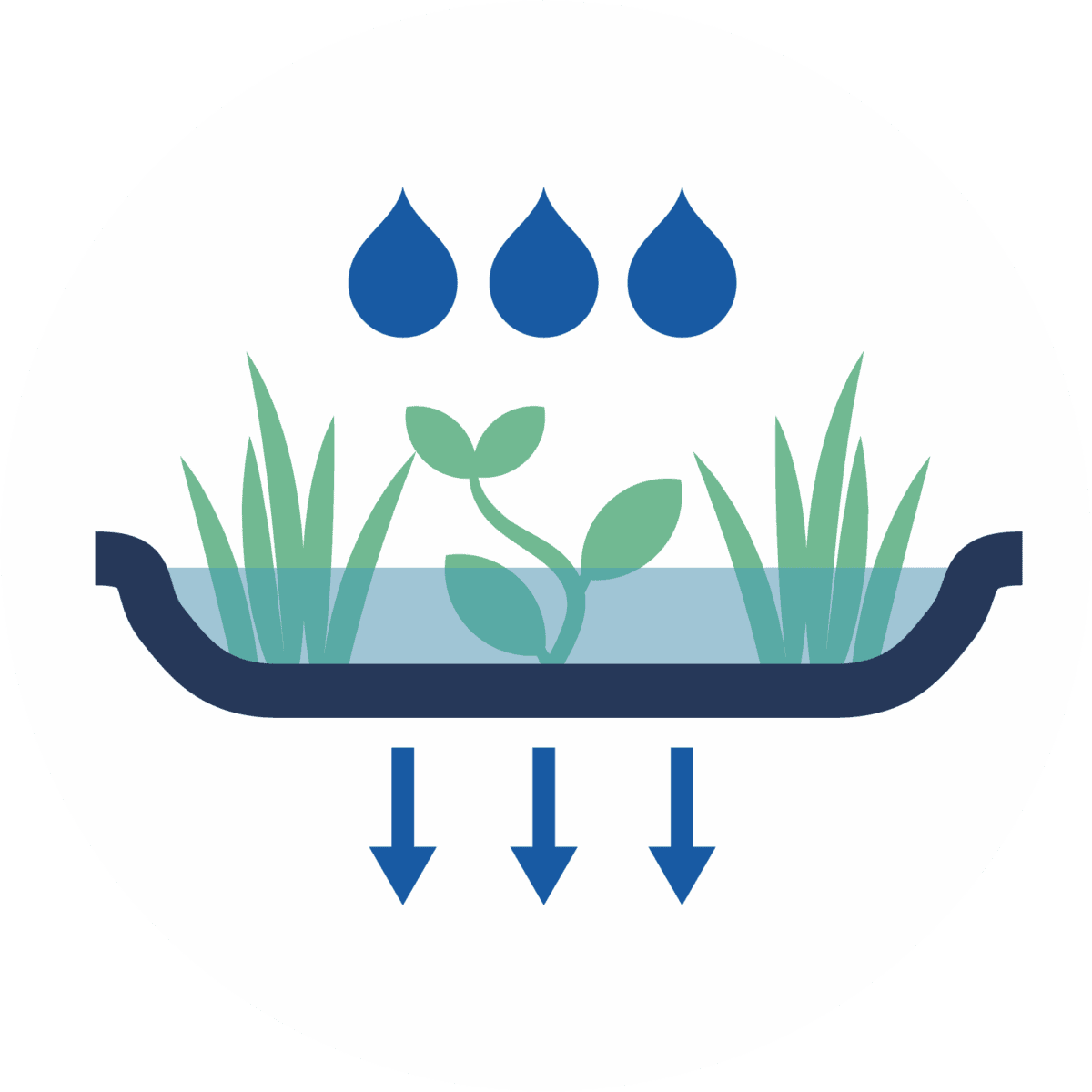 icon showing rain garden