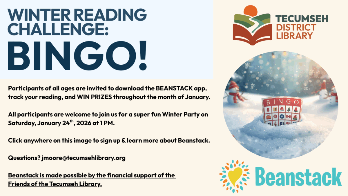 flyer winter bingo fun! (facebook cover) (1)