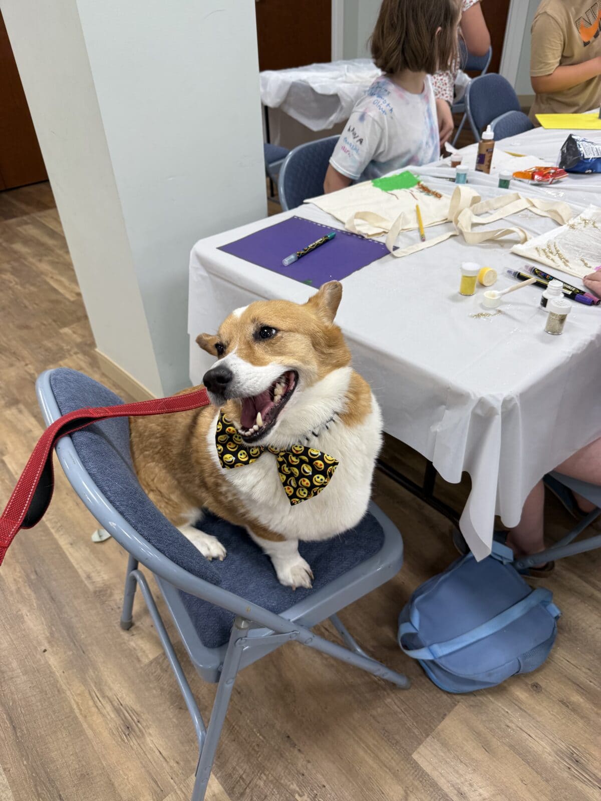 img 3691